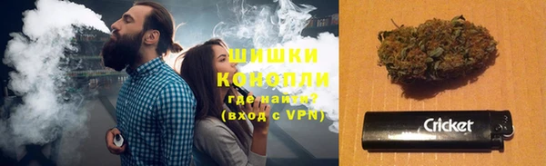 шишки Баксан