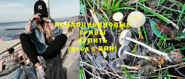 твердый Балабаново