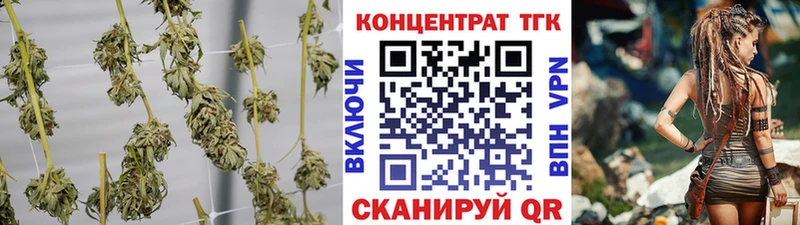 купить   Белорецк  ТГК концентрат 